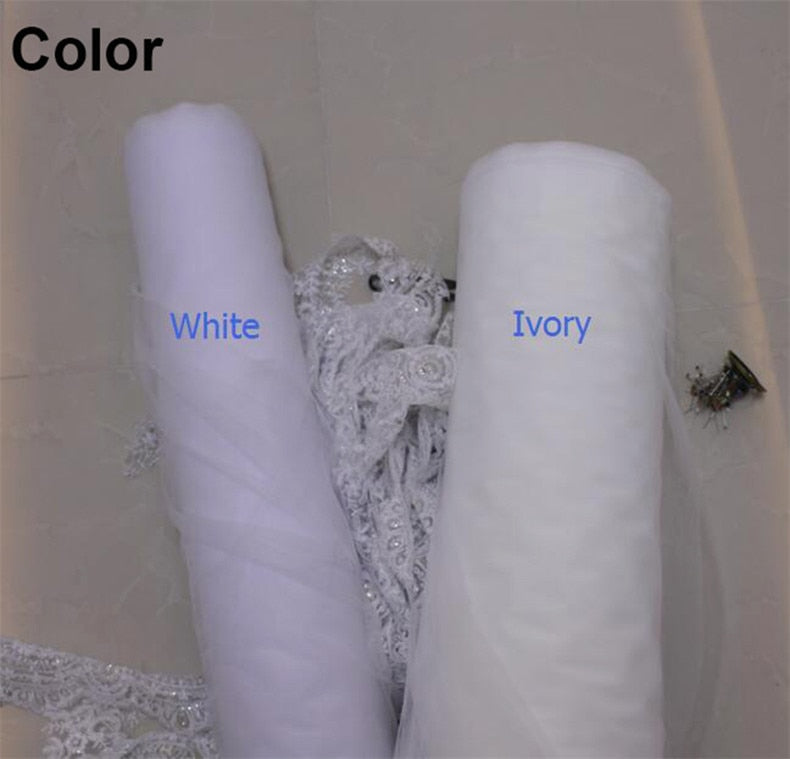 cathedral veil with blusher