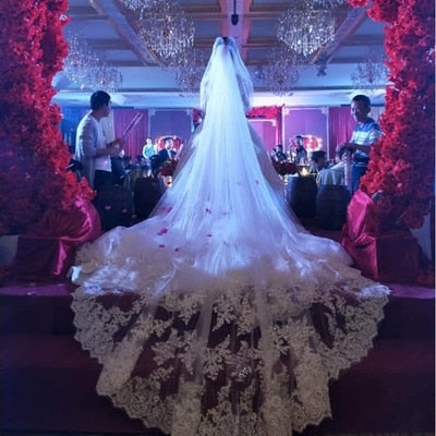 Sequin Cathedral Veil with Lace Edge & Comb