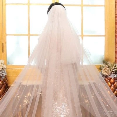 Sequin Cathedral Veil with Lace Edge & Comb VeilsGalore