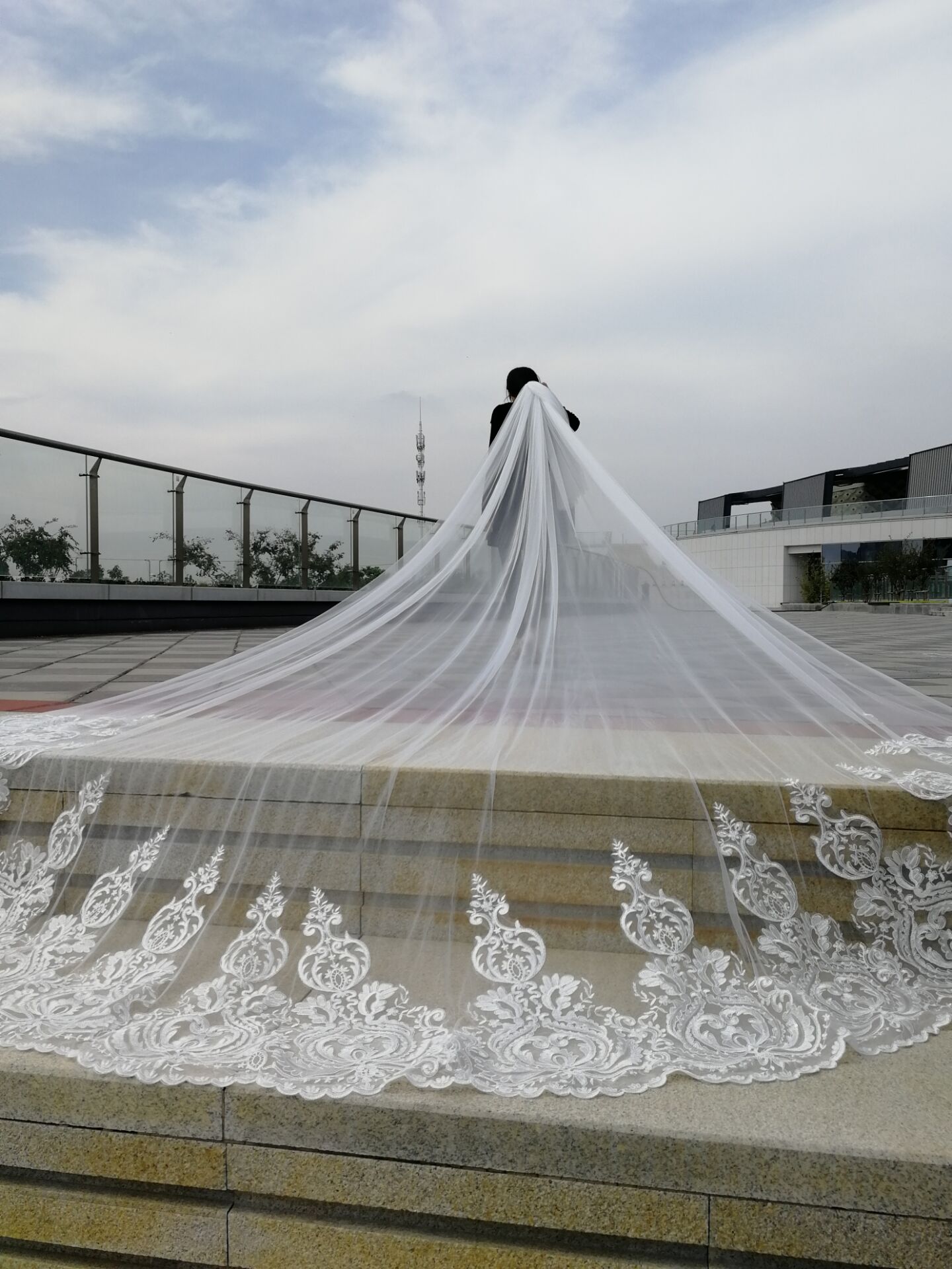 Cathedral Veil Adorned with Delicate Lace Appliques - Bridal Fashion