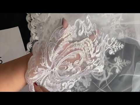 Breathtaking Lace Appliqued Cathedral Veil in Motion - Veils Galore